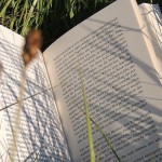 Lese-Liebe - Pleasant Beginning