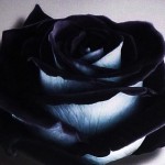 Rezension: "Ich.bin.so.glücklich." - Jessica Knoll, www.talesandmemories.de