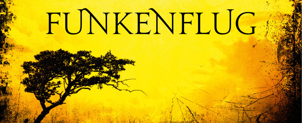 „Die Nacht der Krähe – Funkenflug“ – Patrick Hamann Rezension: "Die Nacht der Krähe - Funkenflug" - Patrick Hamann, www.talesandmemories.de