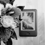 Was ich euch nicht erzählte