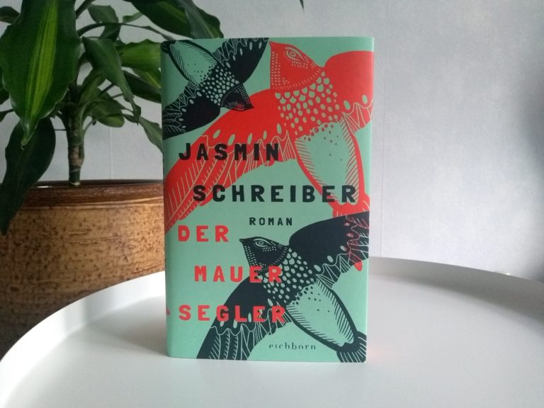 Der Mauersegler von Jasmin Schreiber