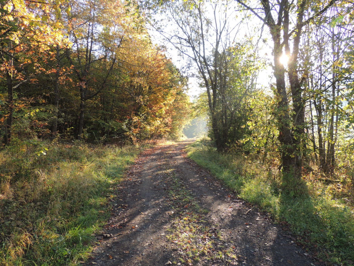 Lesemonat Oktober – Ende der Blogpause